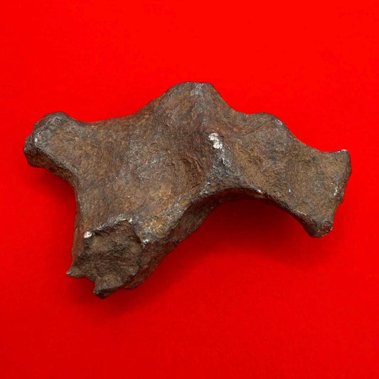 Unique Iron Meteorite Mundrabilla, 44.93 grams, Astronomy Gift, Space Gift, Iron Meteorite, Australia, Meteorite Collection, Space, COA