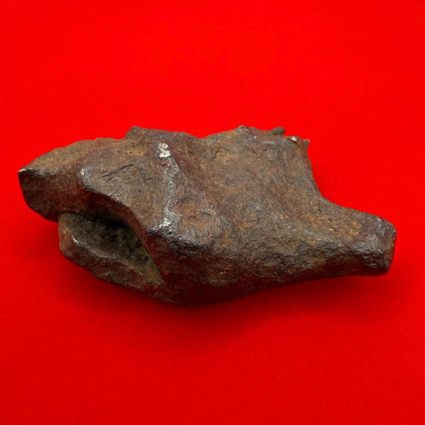 Unique Iron Meteorite Mundrabilla, 44.93 grams, Astronomy Gift, Space Gift, Iron Meteorite, Australia, Meteorite Collection, Space, COA