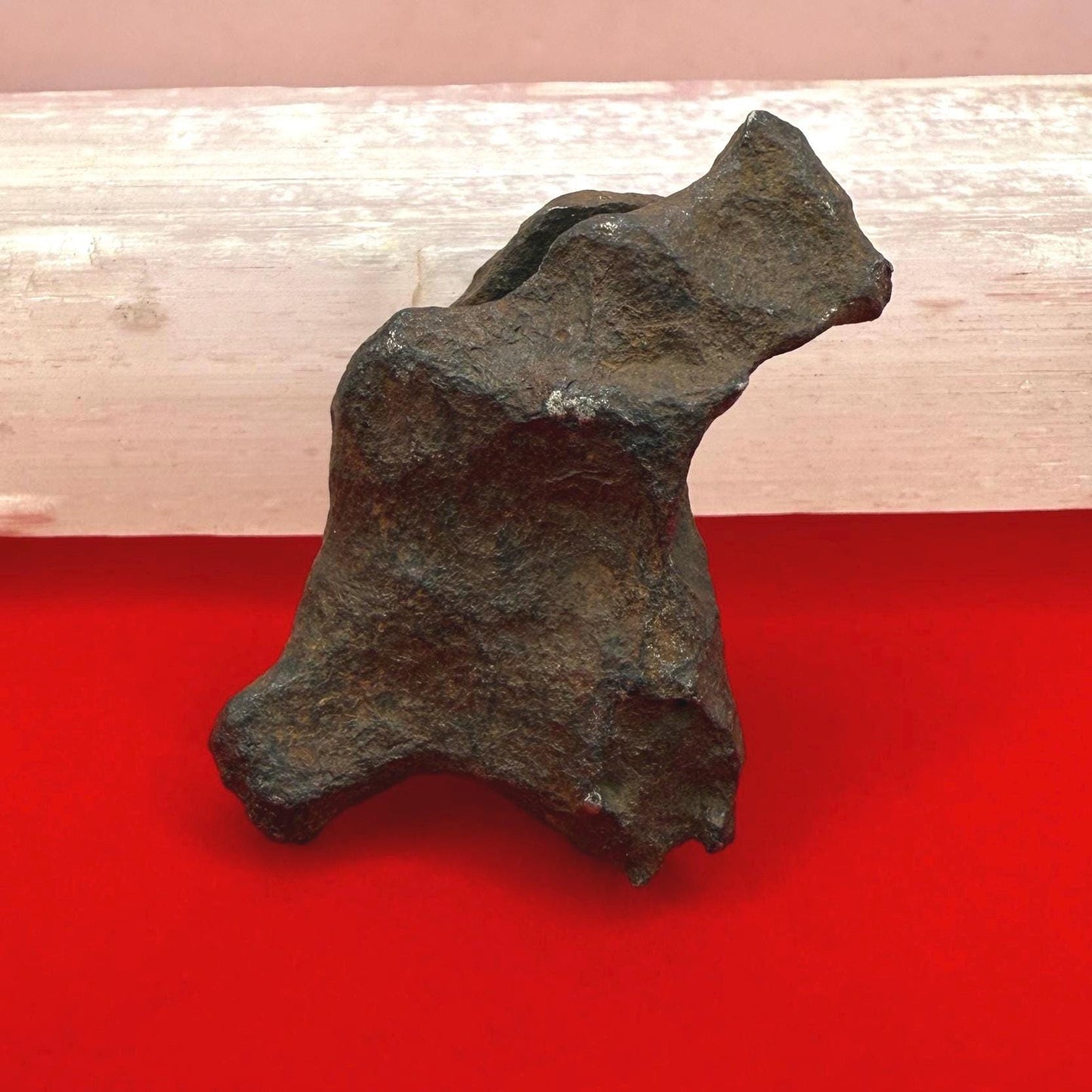 Unique Iron Meteorite Mundrabilla, 44.93 grams, Astronomy Gift, Space Gift, Iron Meteorite, Australia, Meteorite Collection, Space, COA