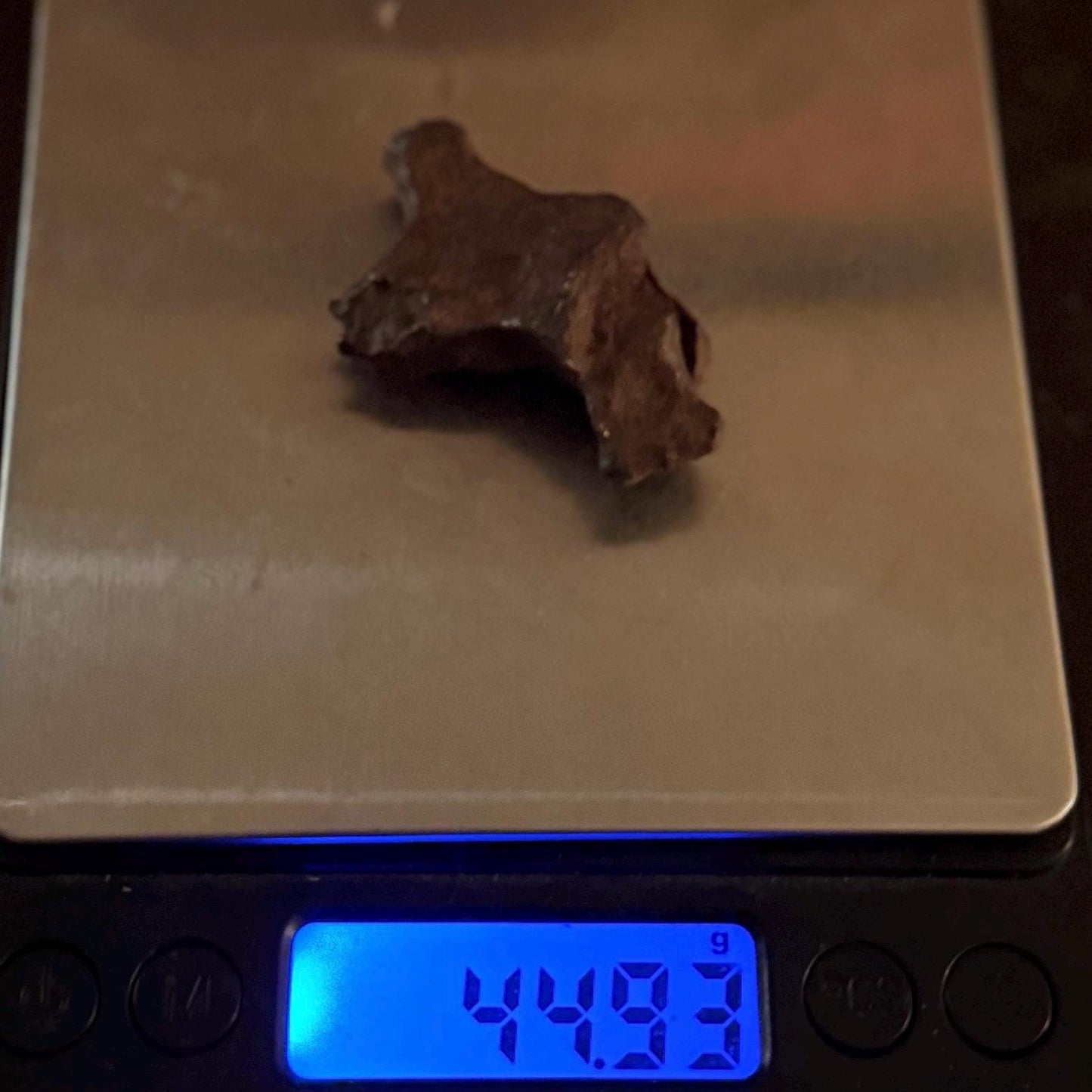 Unique Iron Meteorite Mundrabilla, 44.93 grams, Astronomy Gift, Space Gift, Iron Meteorite, Australia, Meteorite Collection, Space, COA