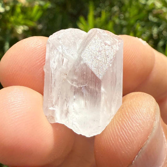 Mexican Danburite Crystal: Gem Quality, Reiki Healing Stone, 6.23g/31.14ct
