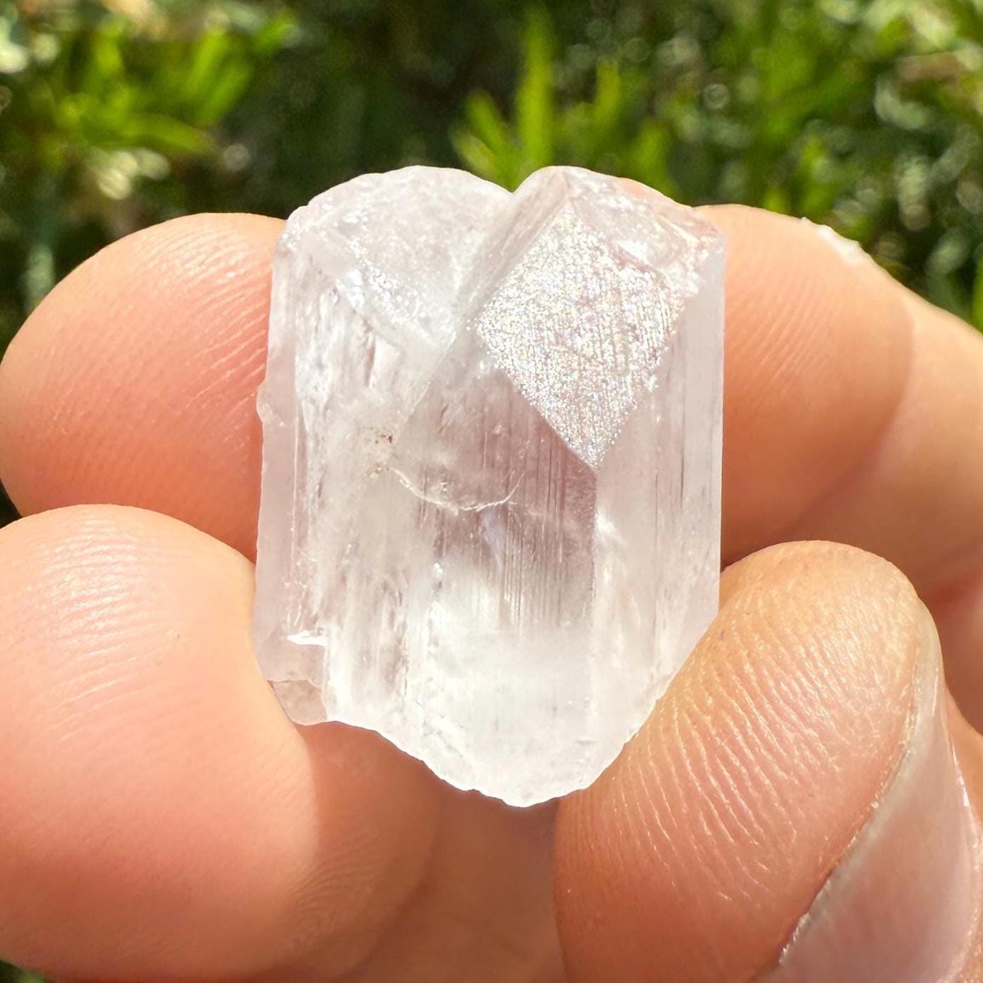 Mexican Danburite Crystal: Gem Quality, Reiki Healing Stone, 6.23g/31.14ct