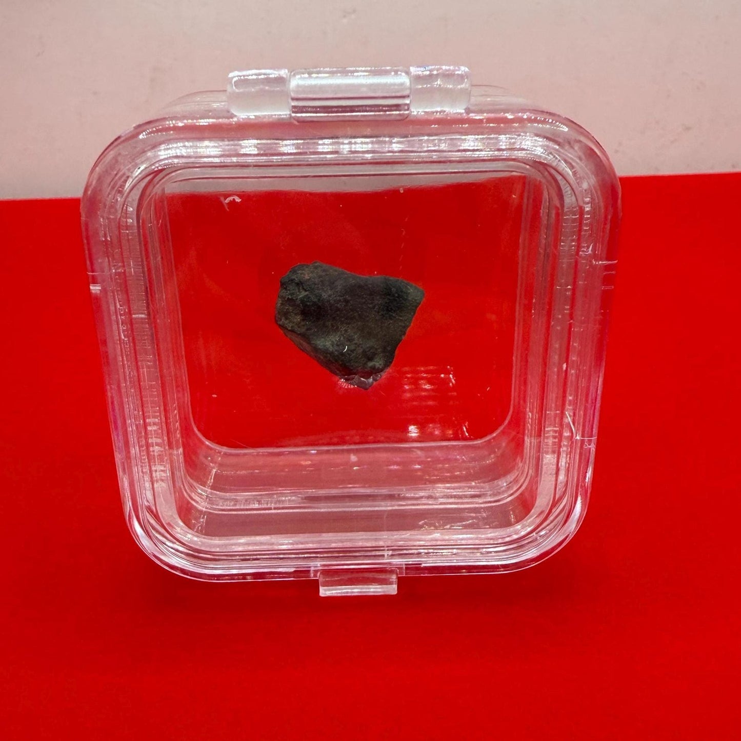 Meteorite NWA 869 Chondrite Stony Meteorite, 4.20 grams, Authentic Meteorite, Meteorite Collection, COA, Astronomy Gift, Space Gift