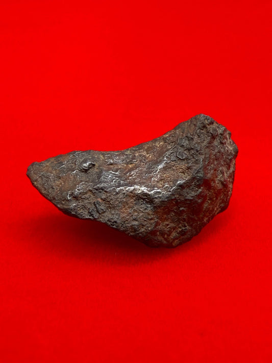 Gibeon Meteorite, Namibia, Iron IVA, 3.85 grams, Rare Meteorite, Iron Meteorite, Astronomy Gift, Space Gift, African Meteorite
