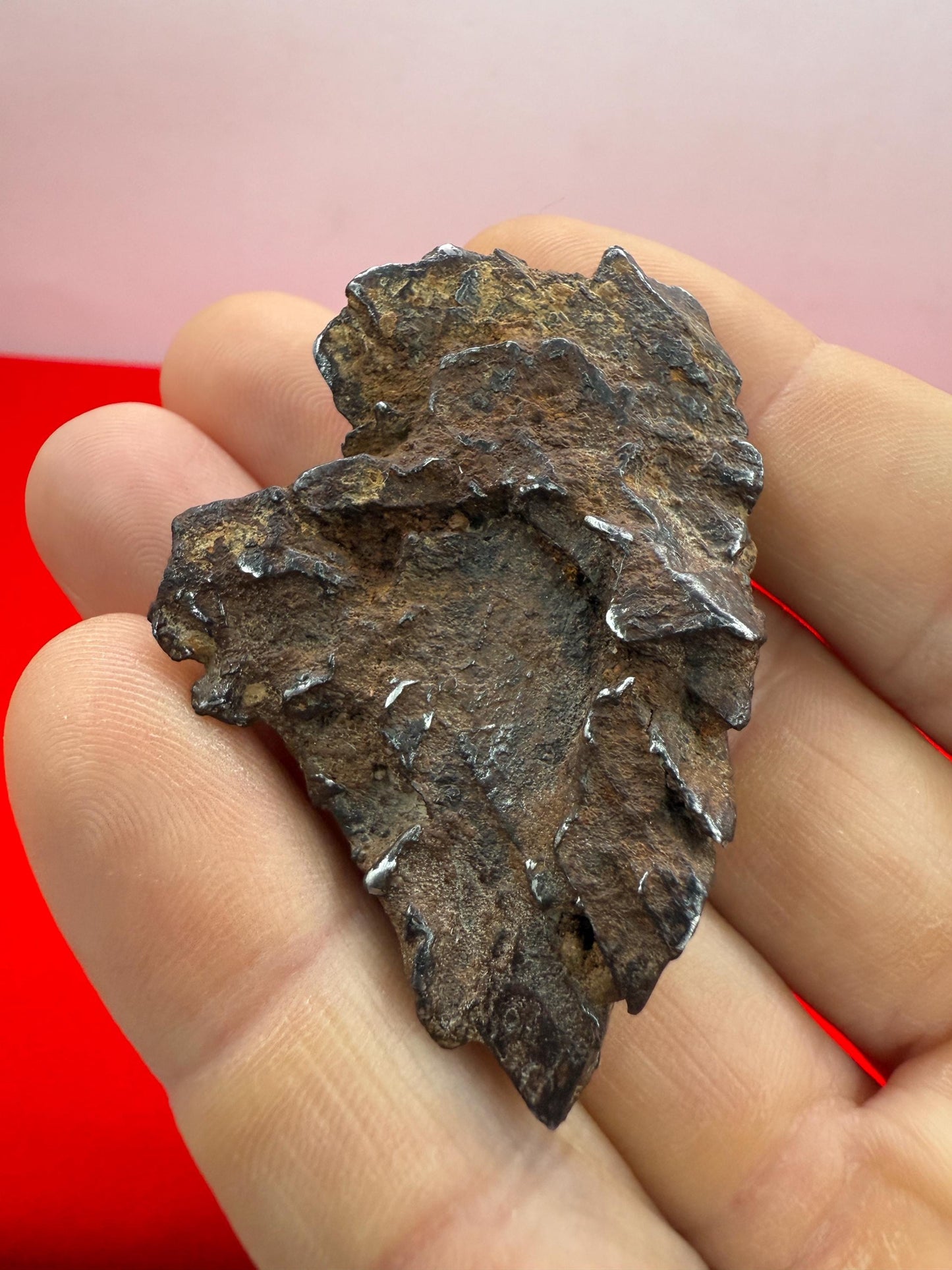 Gibeon Meteorite, Namibia, Iron IVA, 46.46 grams, Extremely Rare Meteorite, Iron Meteorite, Astronomy Gift, Space Gift, African Meteorite