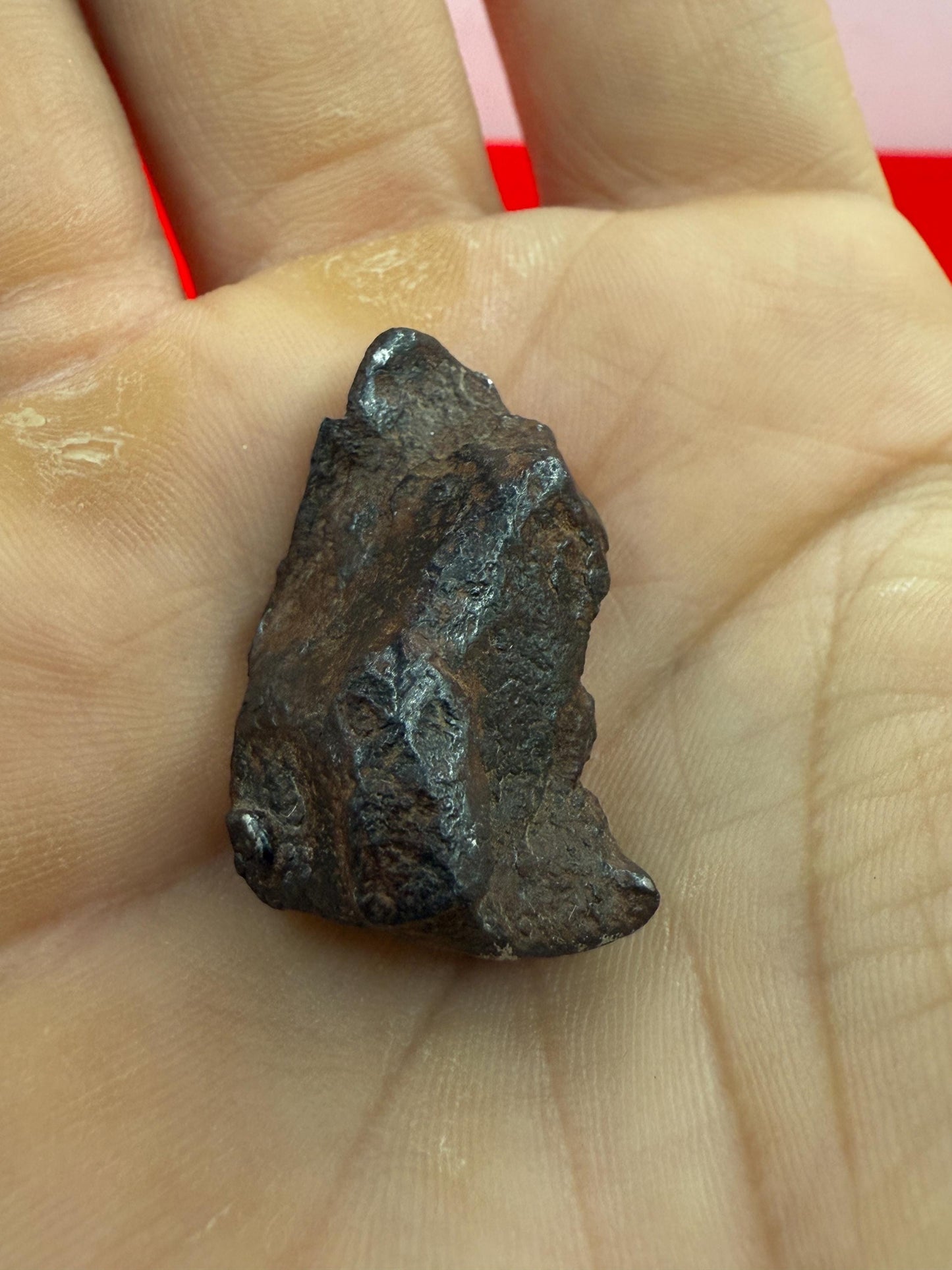 Gibeon Meteorite, Namibia, Iron IVA, 15.50 grams, Rare Meteorite, Iron Meteorite, Astronomy Gift, Space Gift, African Meteorite