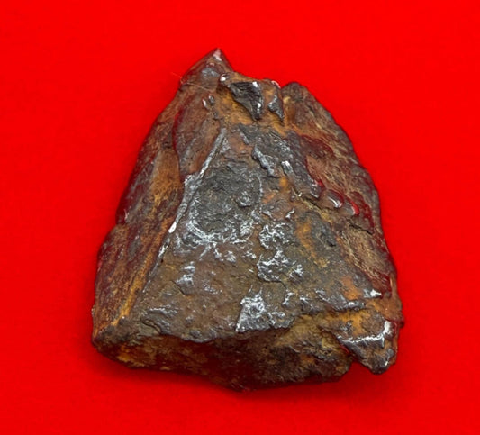 Gibeon Meteorite, Namibia, Iron IVA, 16.63 grams, Rare Meteorite, Iron Meteorite, Astronomy Gift, Space Gift, African Meteorite
