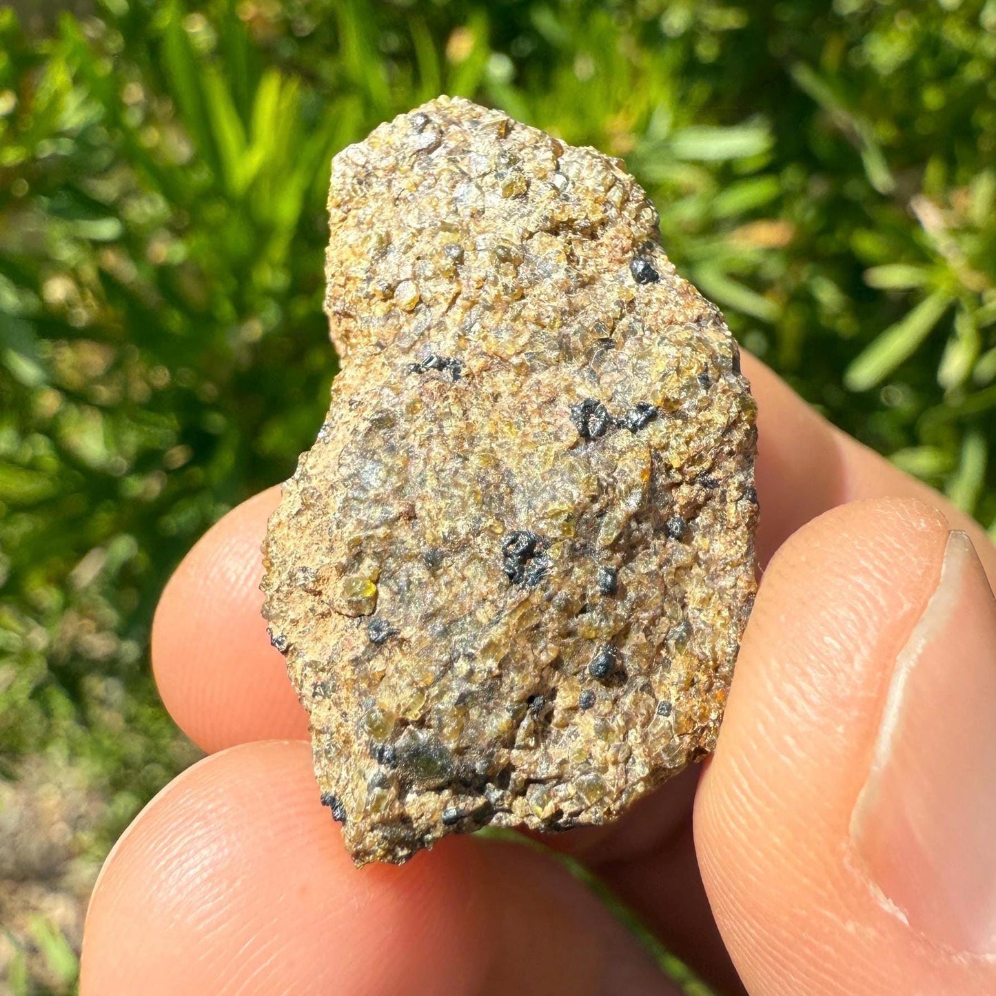 NWA 17418 Diogenite Meteorite, HED Achondrite Meteorite, Diogenite, Astronomy Gift, Space Gift, Iron Meteorite, Space, 15.01 grams