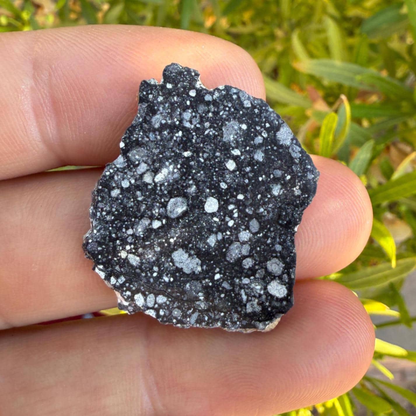 NWA 17679 Lunar Meteorite Slice, Rare Feldspathic Breccia Lunar, Mauritania, Africa, Moon Rock, Astronomy Gift, 3.57 grams