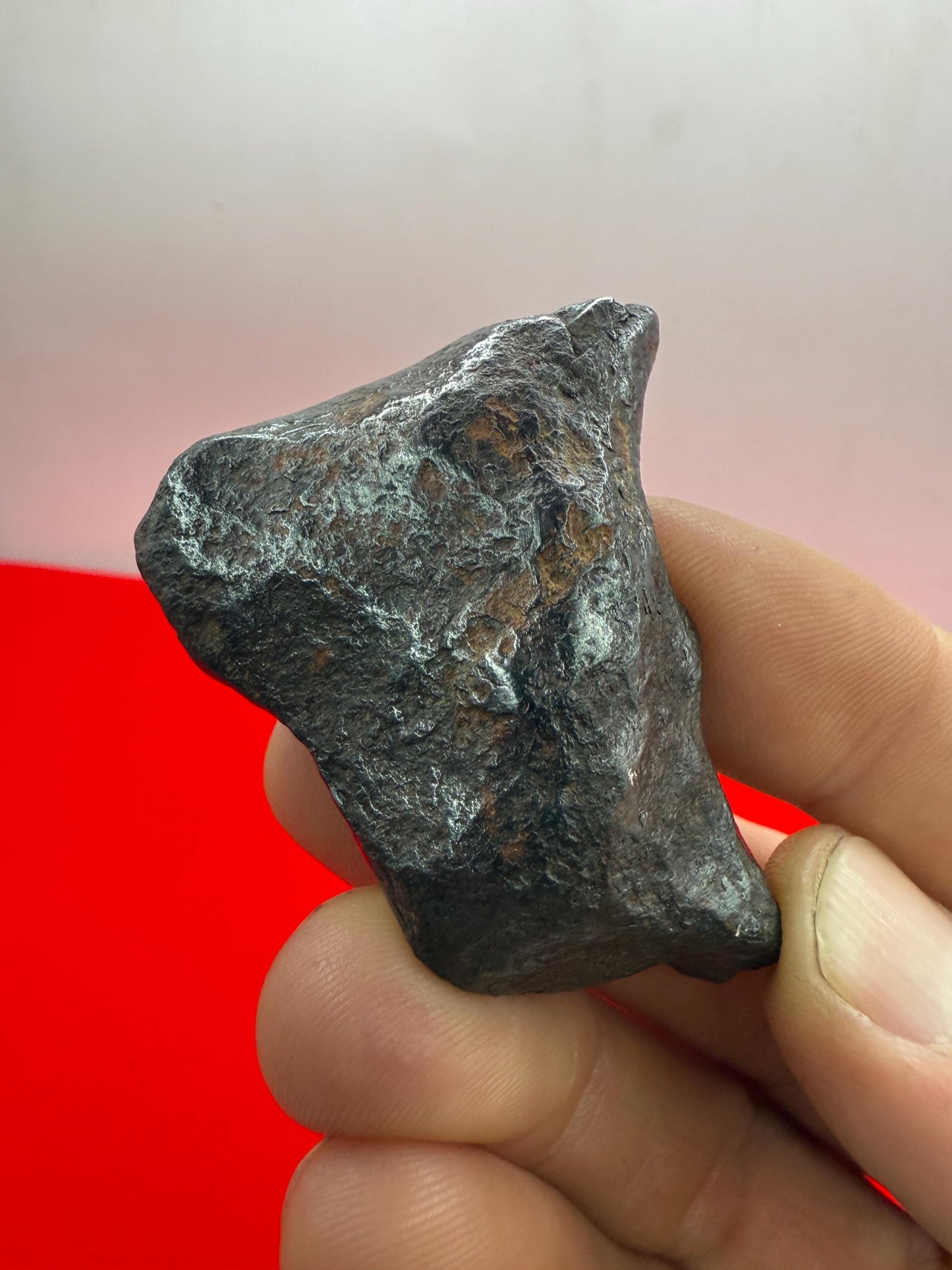 Unique Iron Meteorite Mundrabilla, 105.19 grams, Astronomy Gift, Space Gift, Iron Meteorite, Australia, Meteorite Collection, Space, COA