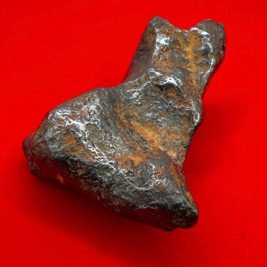 Unique Iron Meteorite Mundrabilla, 105.19 grams, Astronomy Gift, Space Gift, Iron Meteorite, Australia, Meteorite Collection, Space, COA