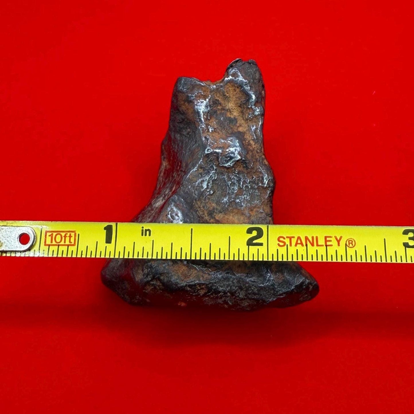 Unique Iron Meteorite Mundrabilla, 105.19 grams, Astronomy Gift, Space Gift, Iron Meteorite, Australia, Meteorite Collection, Space, COA