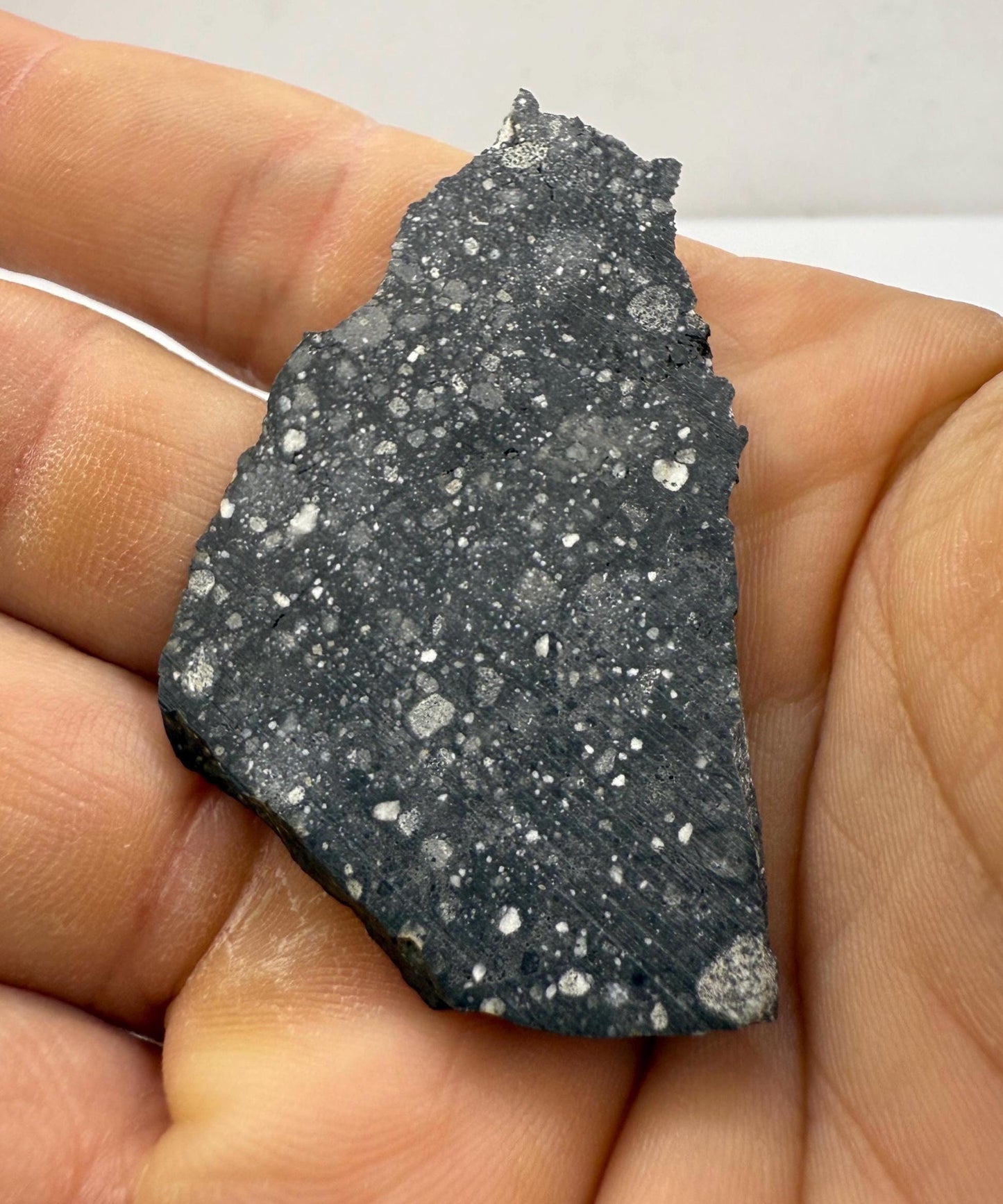 NWA 17679 Lunar Meteorite Slice, Rare Feldspathic Breccia Lunar, Mauritania, Africa, Moon Rock, Astronomy Gift, 7.23 grams