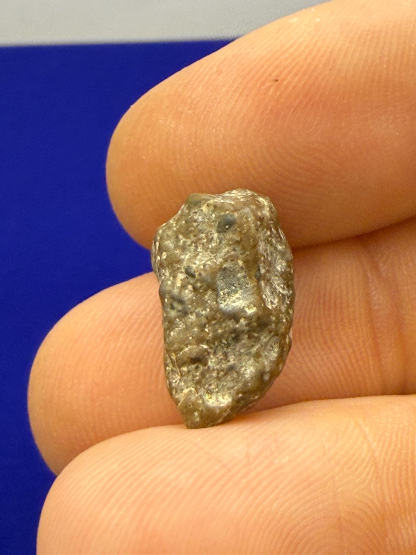 Moon|Lunar Meteorite Pendant, NWA 13974, Feldspathic Breccia, Moon Meteorite, Meteorite Collection, Lunar Feldspathic Breccia, 1.77 grams