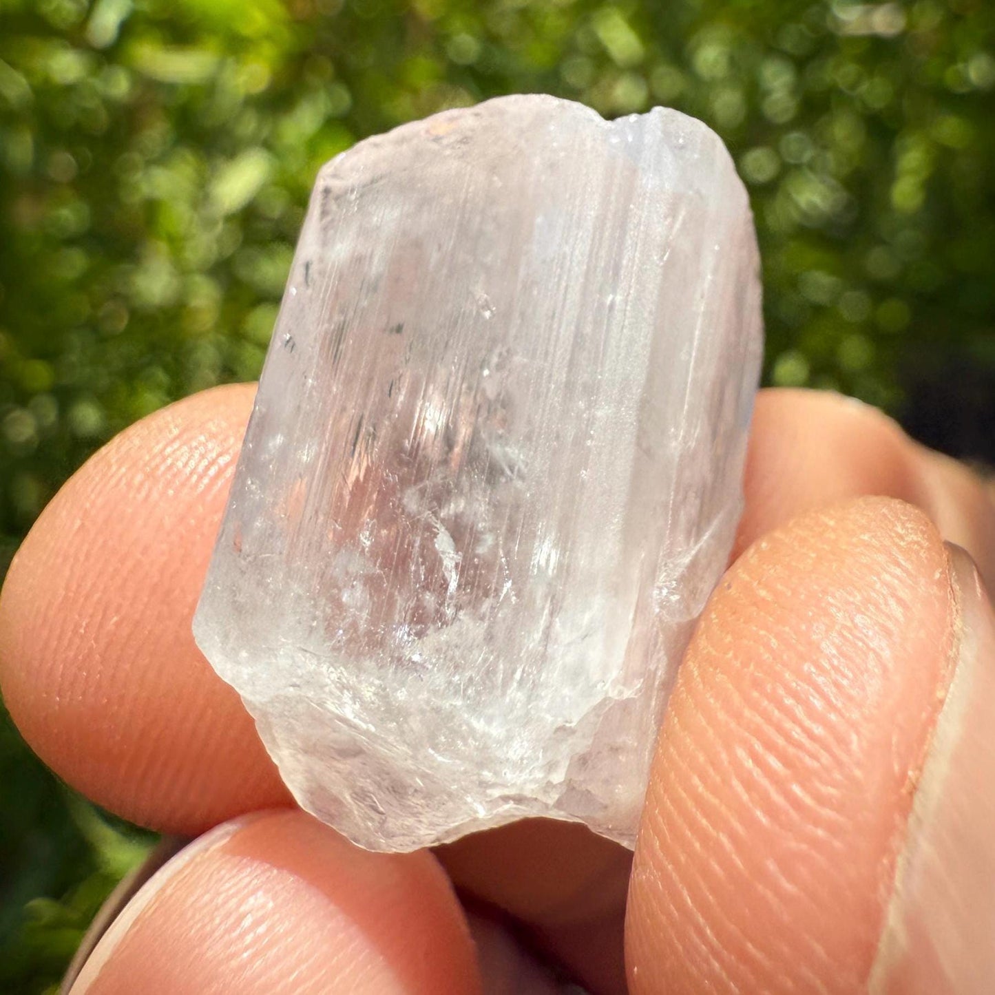 Mexican Danburite Crystal: Gem Quality, Reiki Healing Stone, 6.23g/31.14ct