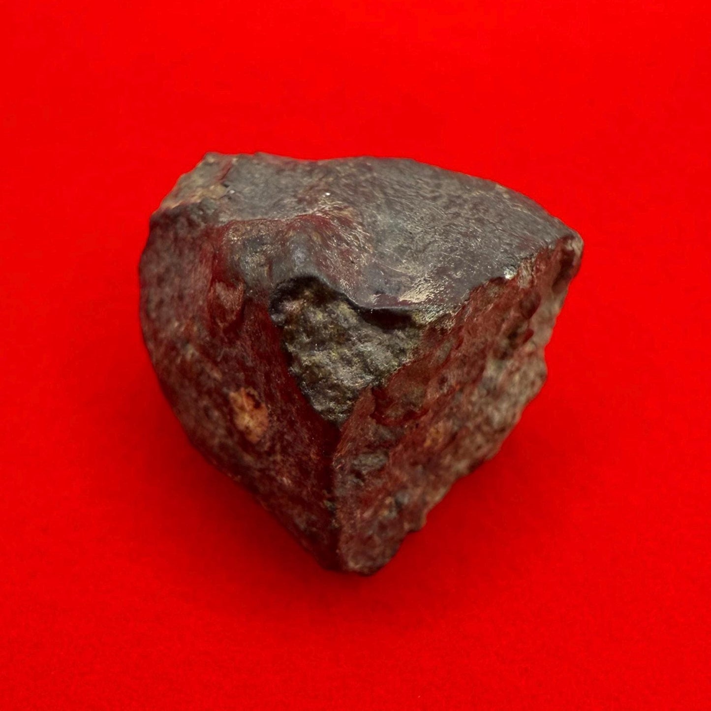 Meteorite NWA 869 Chondrite Stony Meteorite, 4.20 grams, Authentic Meteorite, Meteorite Collection, COA, Astronomy Gift, Space Gift