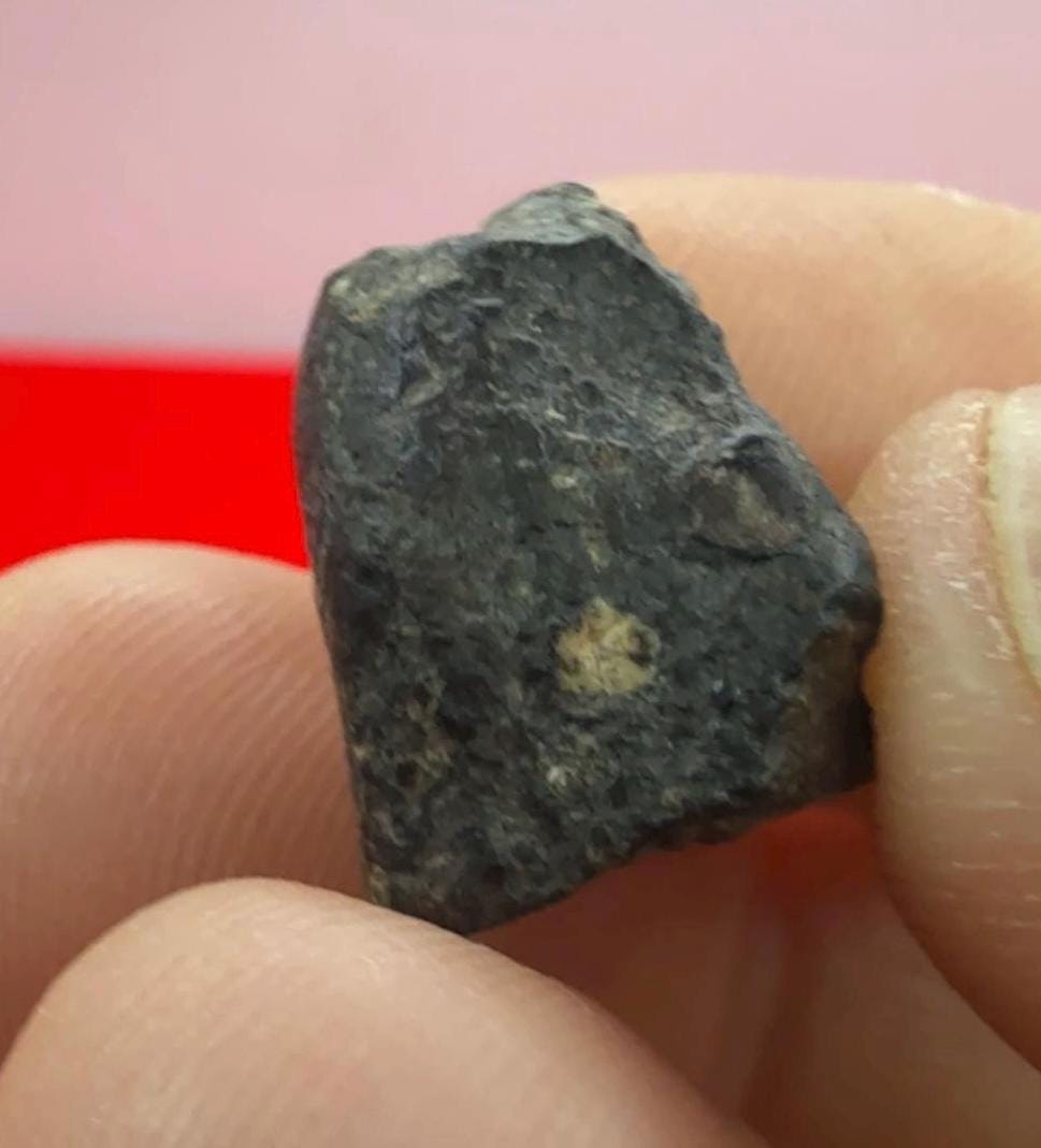 Meteorite NWA 869 Chondrite Stony Meteorite, 4.20 grams, Authentic Meteorite, Meteorite Collection, COA, Astronomy Gift, Space Gift