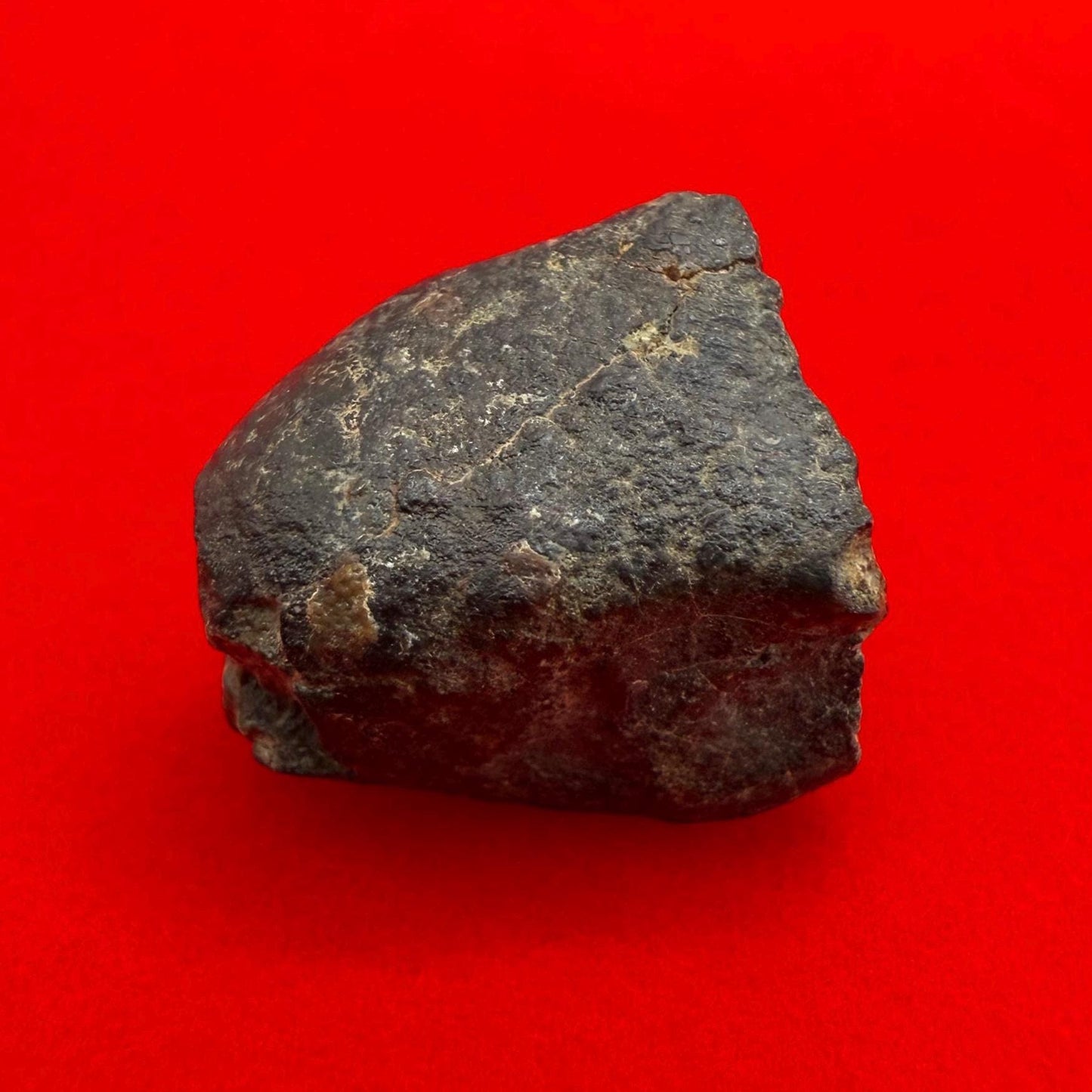Meteorite NWA 869 Chondrite Stony Meteorite, 4.20 grams, Authentic Meteorite, Meteorite Collection, COA, Astronomy Gift, Space Gift
