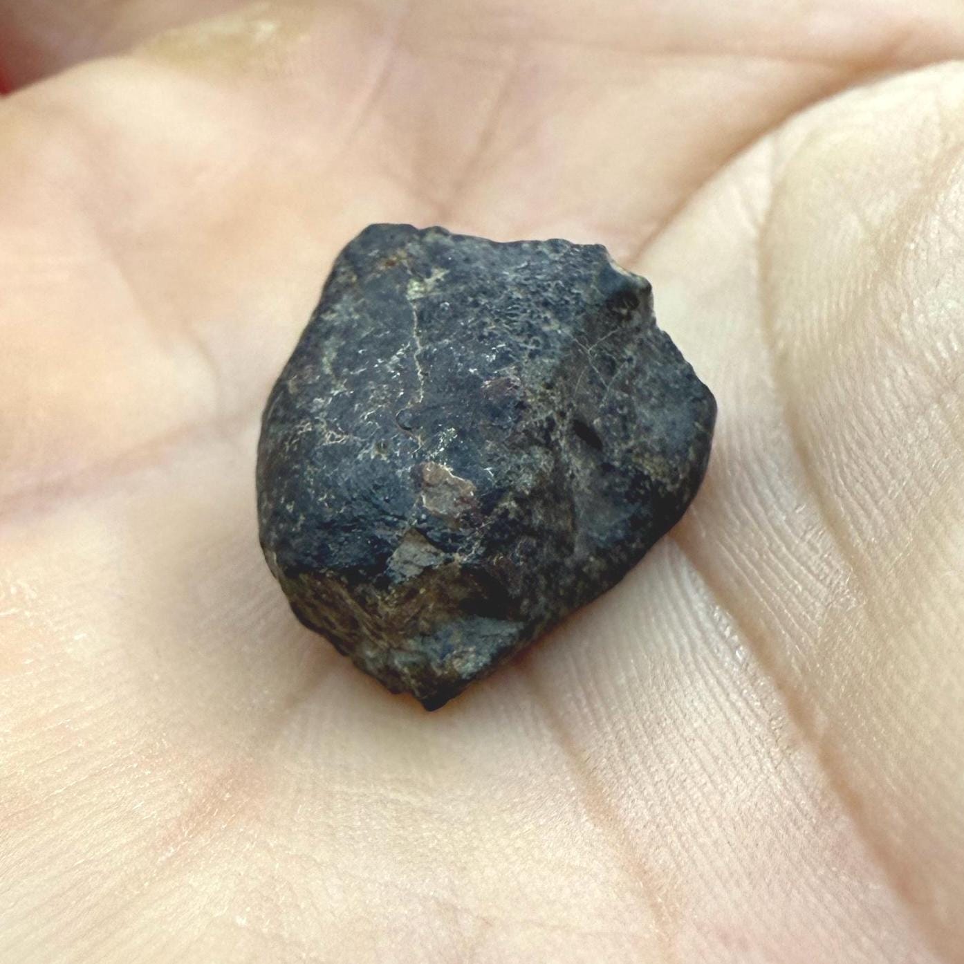 Meteorite NWA 869 Chondrite Stony Meteorite, 4.20 grams, Authentic Meteorite, Meteorite Collection, COA, Astronomy Gift, Space Gift