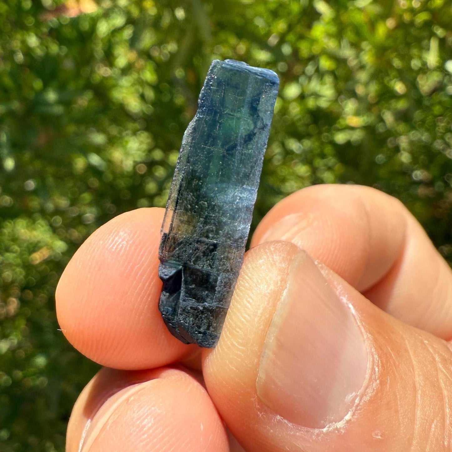 Rare Vivianite Crystal, Vivianite, Vivianite, Brazilian Vivianite, Reiki Energy, Crystal Collection, Reiki, 1.40 grams| 7.0 carats