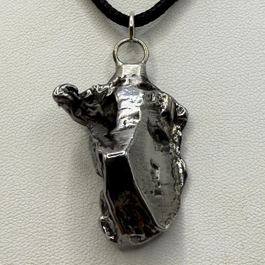 Beautiful Aletai Meteorite Pendant, 21.94 grams, Astronomy Gift, Authentic Meteorite, Meteorite Jewelry, Meteorite Pendant, COA, Space Gift