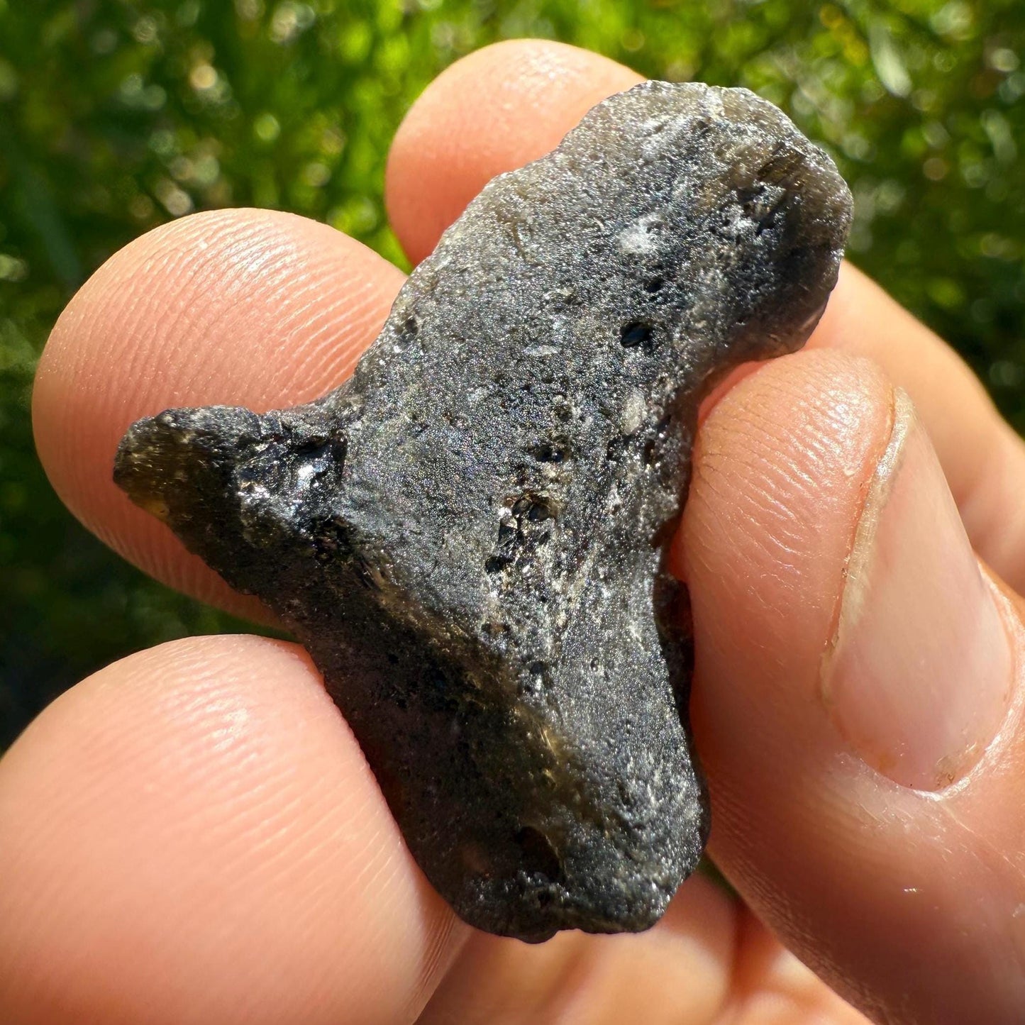 Darwin Glass, Darwinite, Tektite, Grounding, Manifestation Talisman, Impactite from Tasmania, Astronomy Gift, Tektite Collection, 6.11 grams