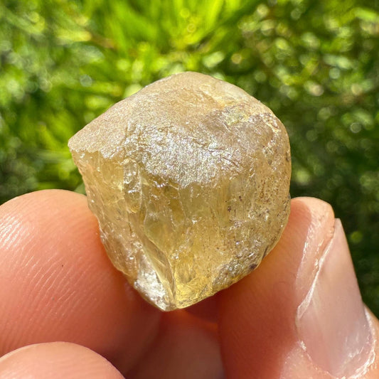 Golden Brazilian Phenacite, 8.96g (44.8 Carats) Tangerine Phenacite, High-Vibration Gemstone from Bahia, Brazil, Rare Collector’s Crystal