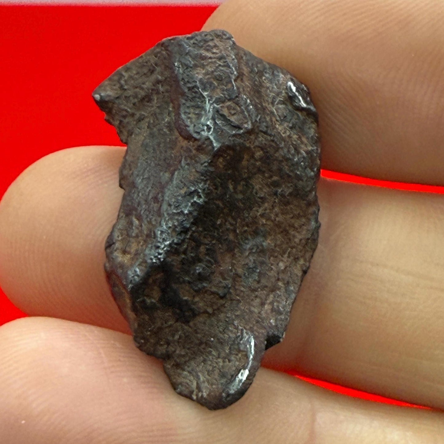 Gibeon Meteorite, Namibia, Iron IVA, 15.50 grams, Rare Meteorite, Iron Meteorite, Astronomy Gift, Space Gift, African Meteorite