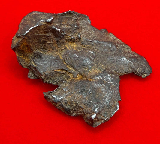 Gibeon Meteorite, Namibia, Iron IVA, 15.92 grams, Rare Meteorite, Iron Meteorite, Astronomy Gift, Space Gift, African Meteorite