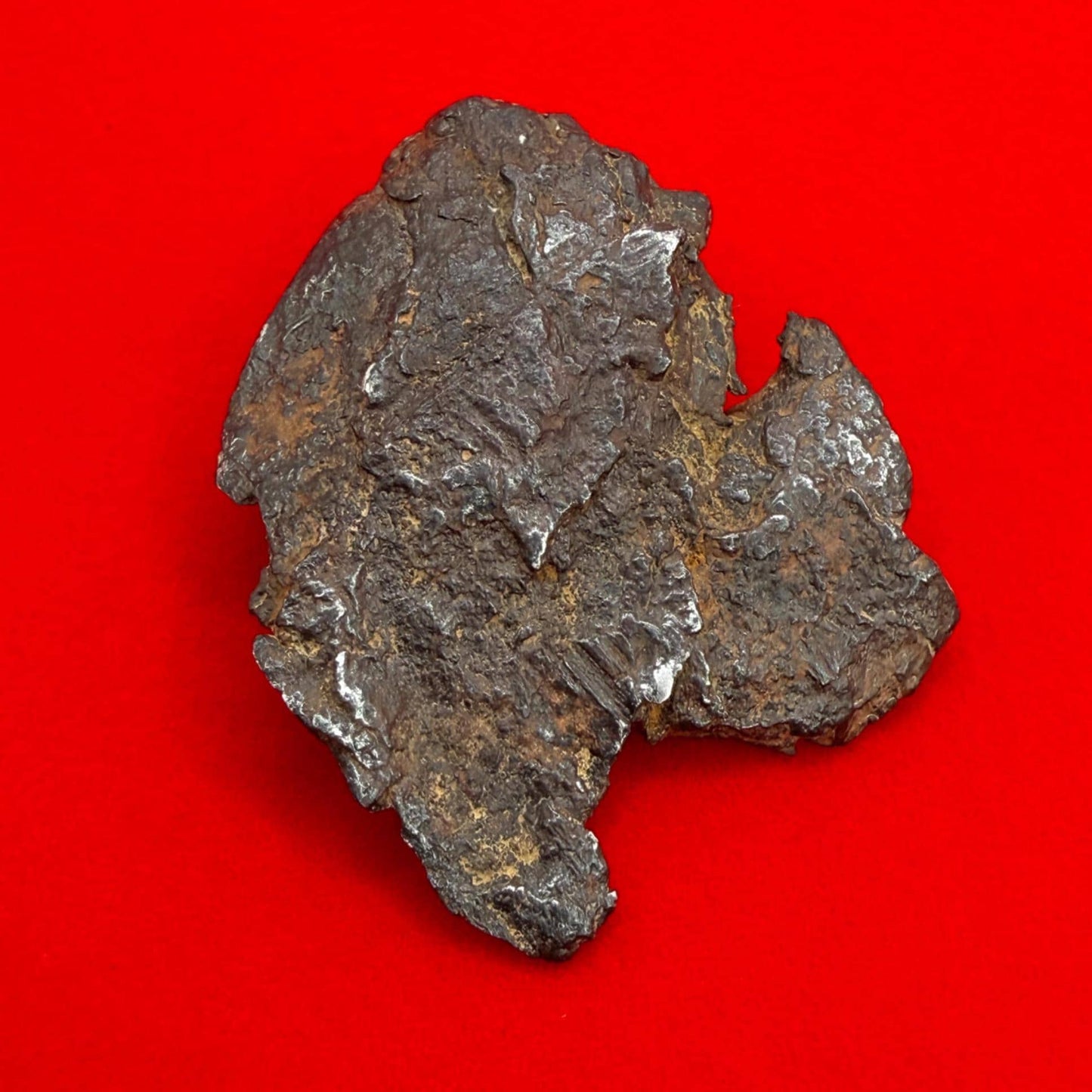 Gibeon Meteorite, Namibia, Iron IVA, 15.92 grams, Rare Meteorite, Iron Meteorite, Astronomy Gift, Space Gift, African Meteorite