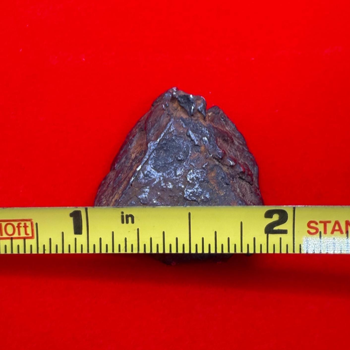 Gibeon Meteorite, Namibia, Iron IVA, 16.63 grams, Rare Meteorite, Iron Meteorite, Astronomy Gift, Space Gift, African Meteorite