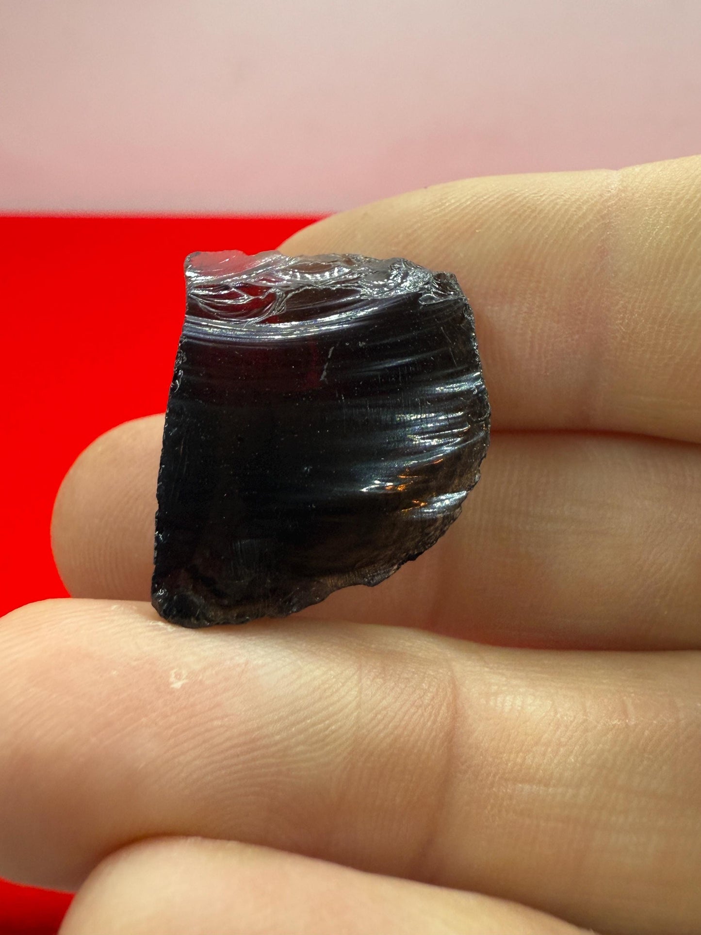 Saffordite Stone, Cintamani, Rare and Beautiful, Shamanic, Arizona, Pseudotektite, Obsidian, Metaphysical, 4.96 grams