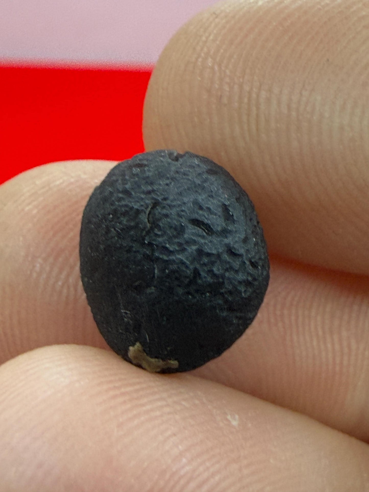 Rare Saffordite Stone: Arizona Cintamani Stone, Paeudo-Tektite, 1.05 grams