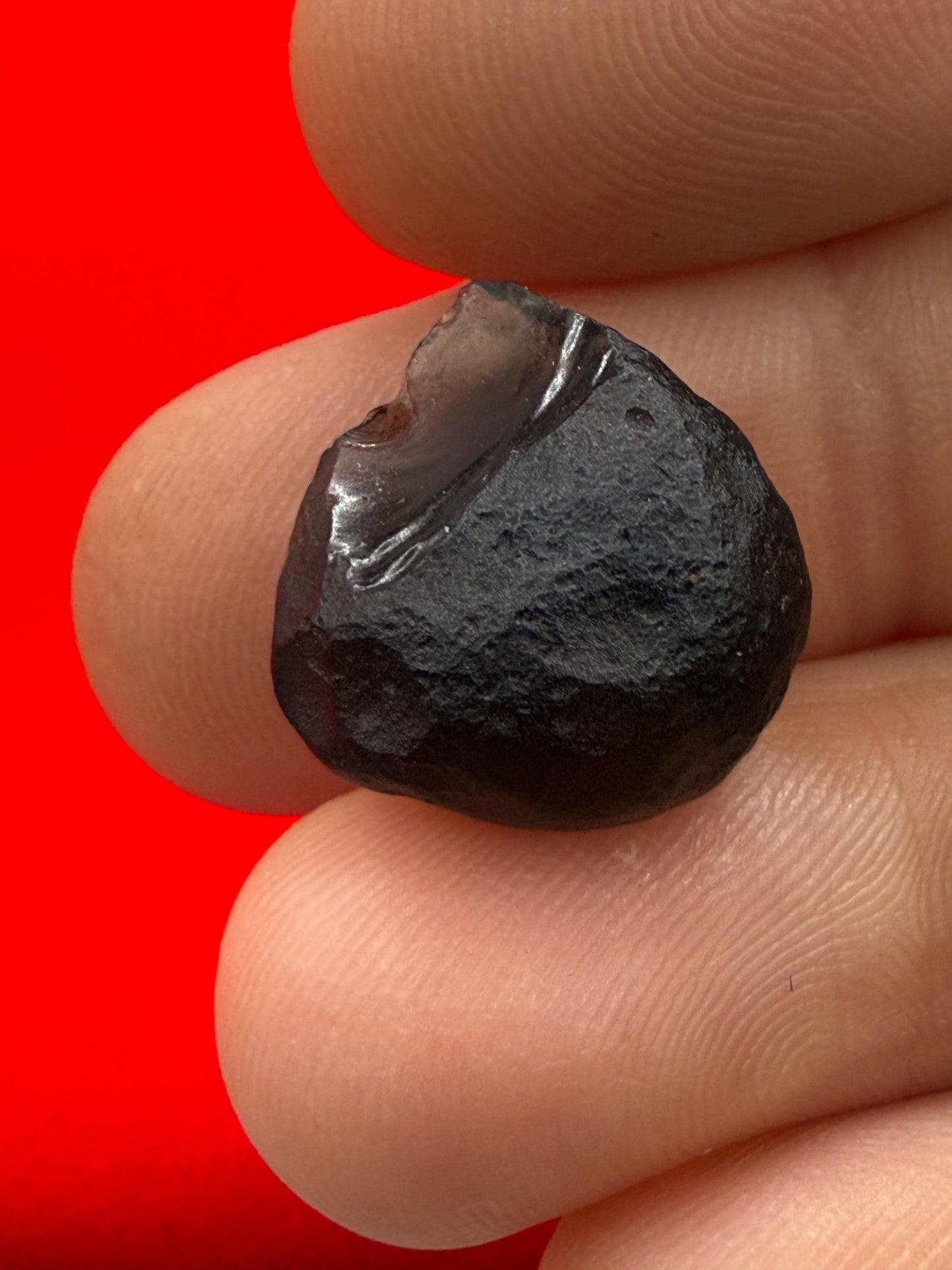 Saffordite Stone, Cintamani, Rare and Beautiful, Shamanic, Arizona, Pseudotektite, Obsidian, Metaphysical, 2.35 grams
