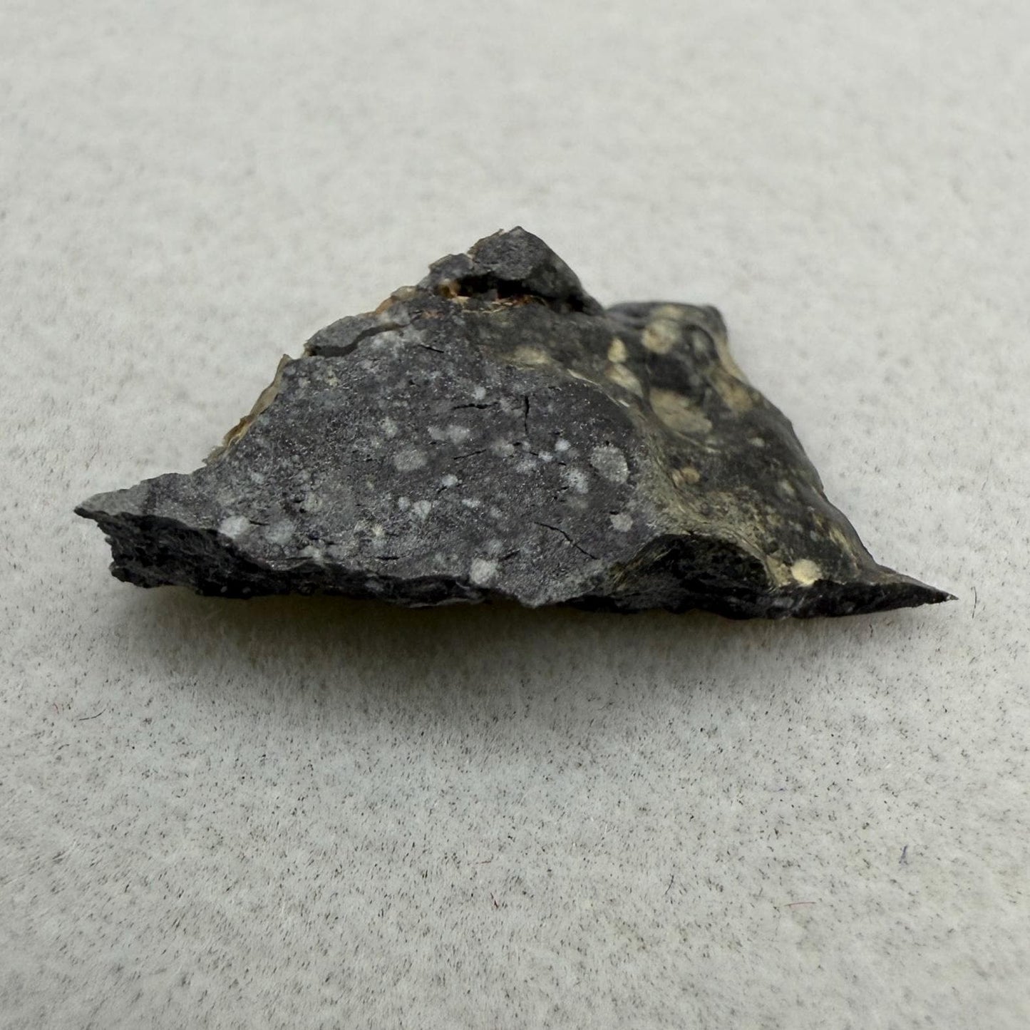 NWA 17679 Lunar Meteorite Slice, Rare Feldspathic Breccia Lunar, Mauritania, Africa, Moon Rock, Astronomy Gift, 0.37 grams