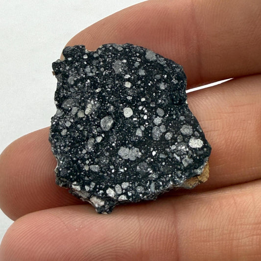 NWA 17679 Lunar Meteorite Slice, Rare Feldspathic Breccia Lunar, Mauritania, Africa, Moon Rock, Astronomy Gift, 3.57 grams