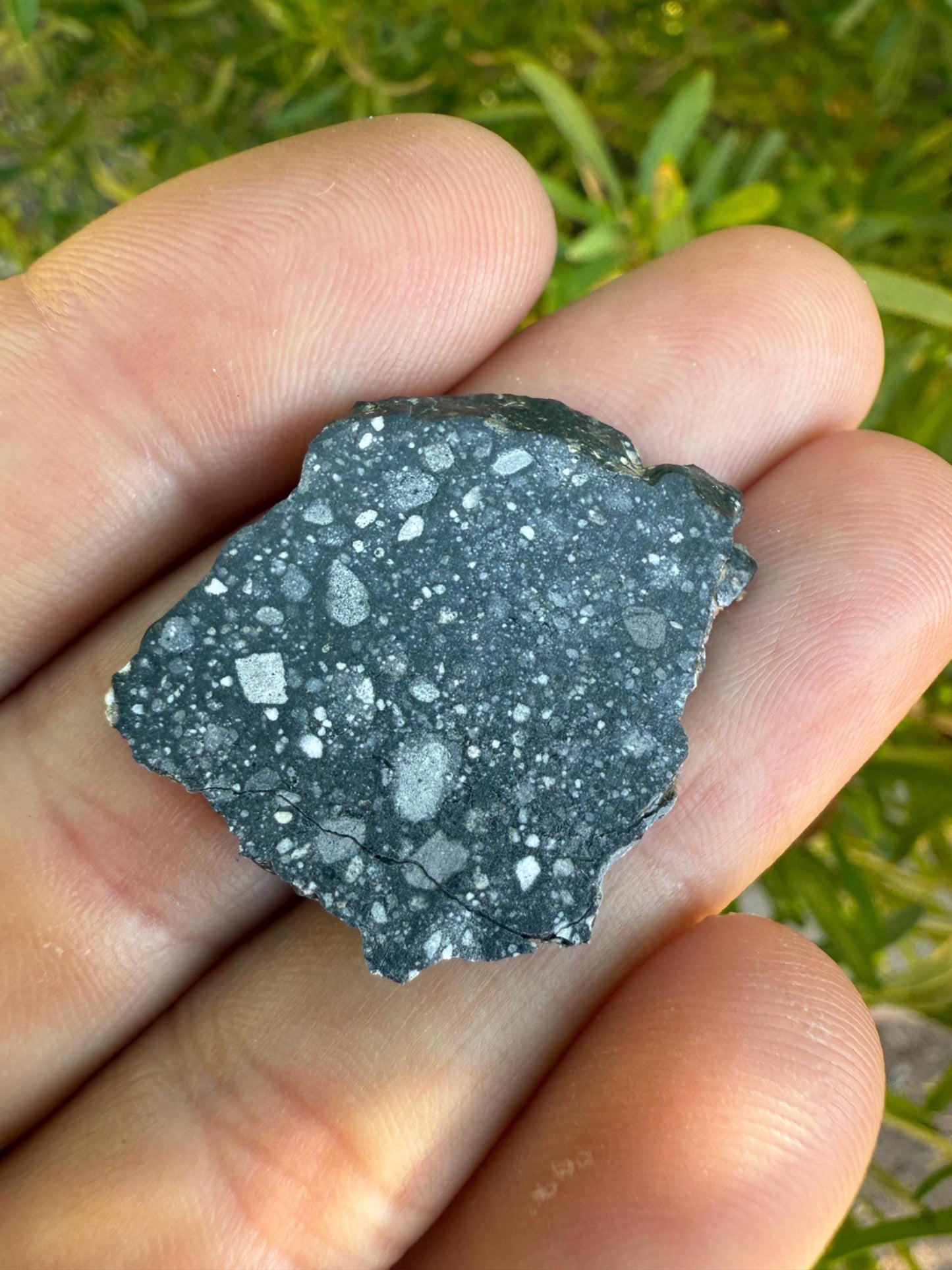 NWA 17679 Lunar Meteorite Slice, Rare Feldspathic Breccia Lunar, Mauritania, Africa, Moon Rock, Astronomy Gift, 3.57 grams