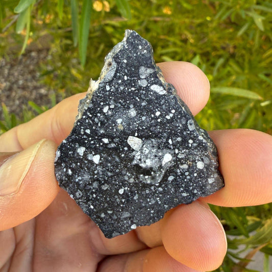 NWA 17679 Lunar Meteorite Slice, Rare Feldspathic Breccia Lunar, Mauritania, Africa, Moon Rock, Astronomy Gift, 6.61 grams