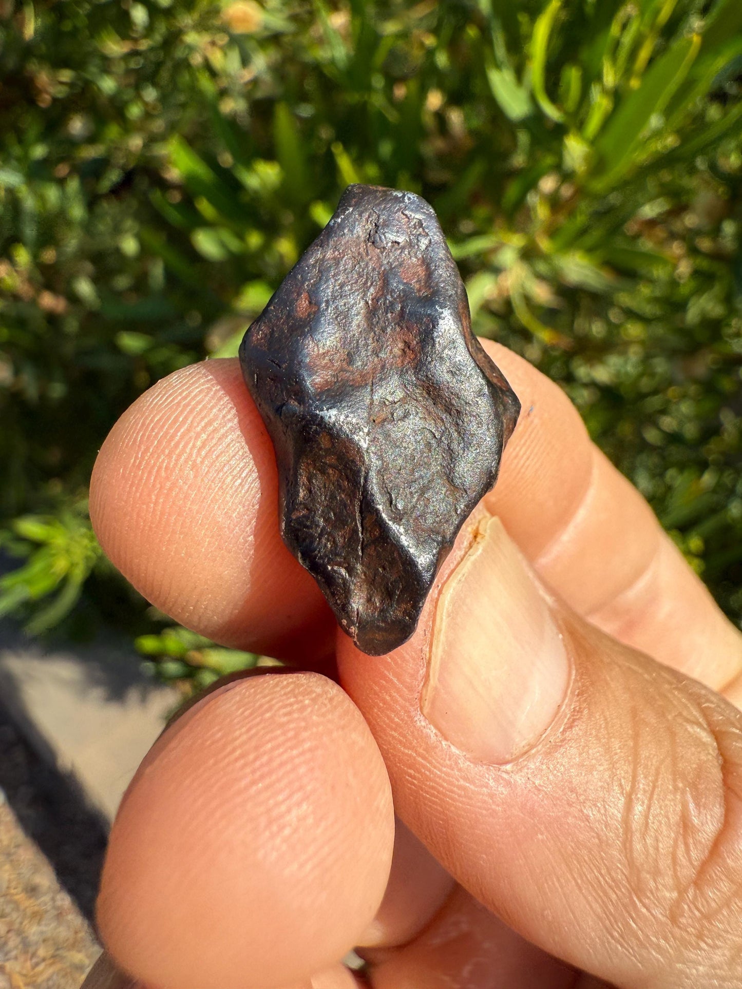 Rare and Unique Agoudal Meteorite Specimen,  grams, Iron Meteorite, Astronomy Gift, Space Gift, Meteorites, Iron Meteorite, 12.05 grams