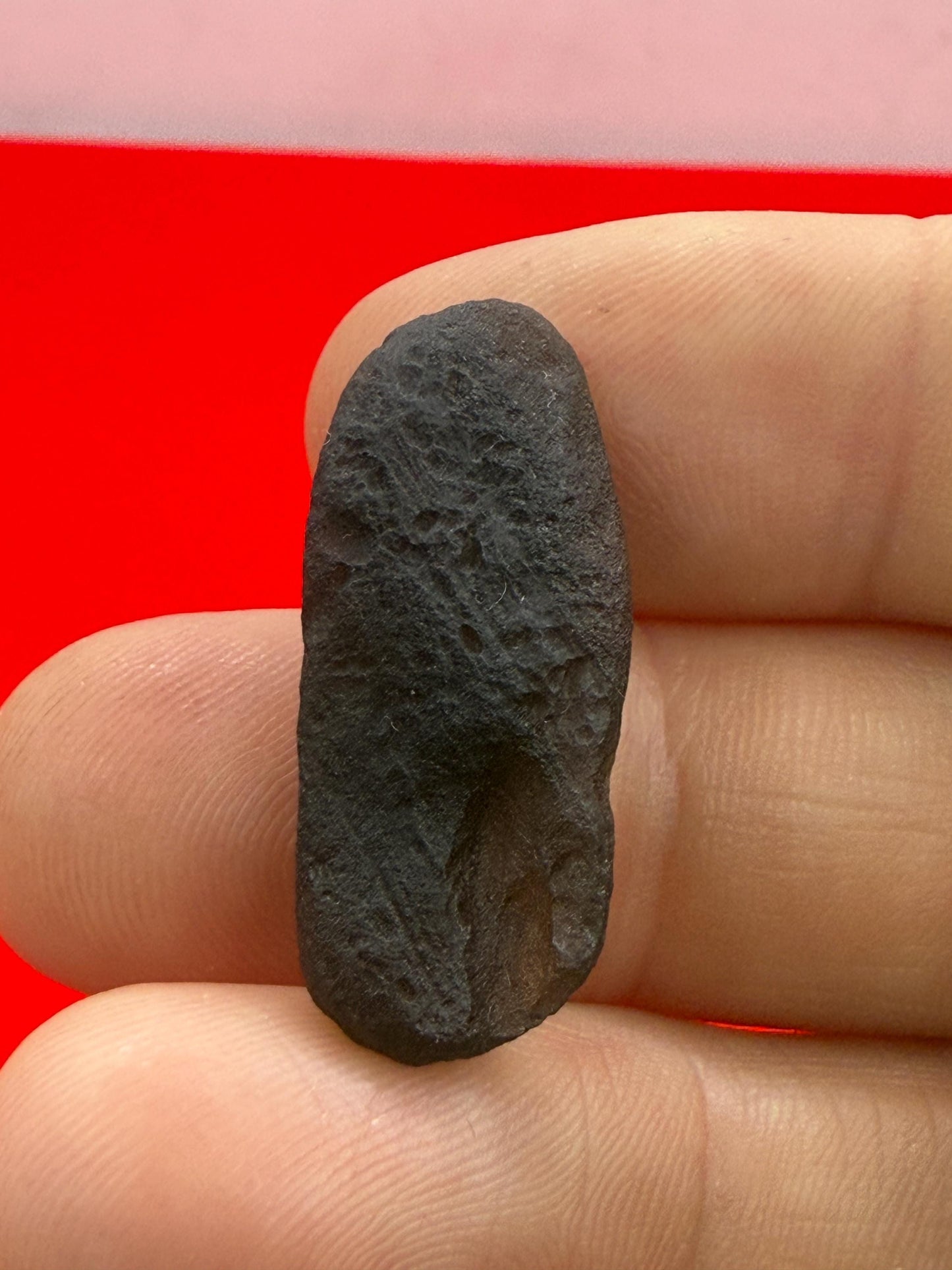 Saffordite Specimen, Cintamani, Rare and Beautiful, Shamanic, Arizona, Pseudotektite, Obsidian, Metaphysical, 3.64 grams