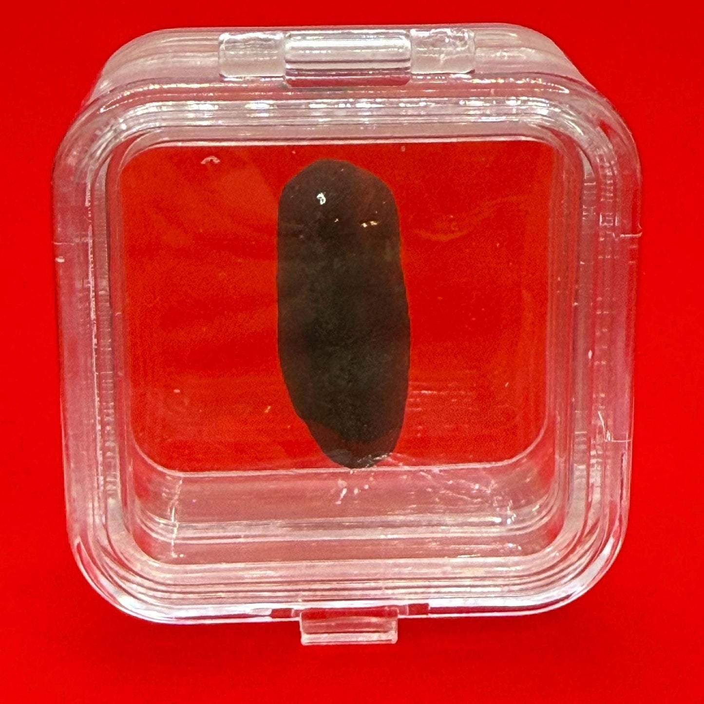 Saffordite Specimen, Cintamani, Rare and Beautiful, Shamanic, Arizona, Pseudotektite, Obsidian, Metaphysical, 3.64 grams
