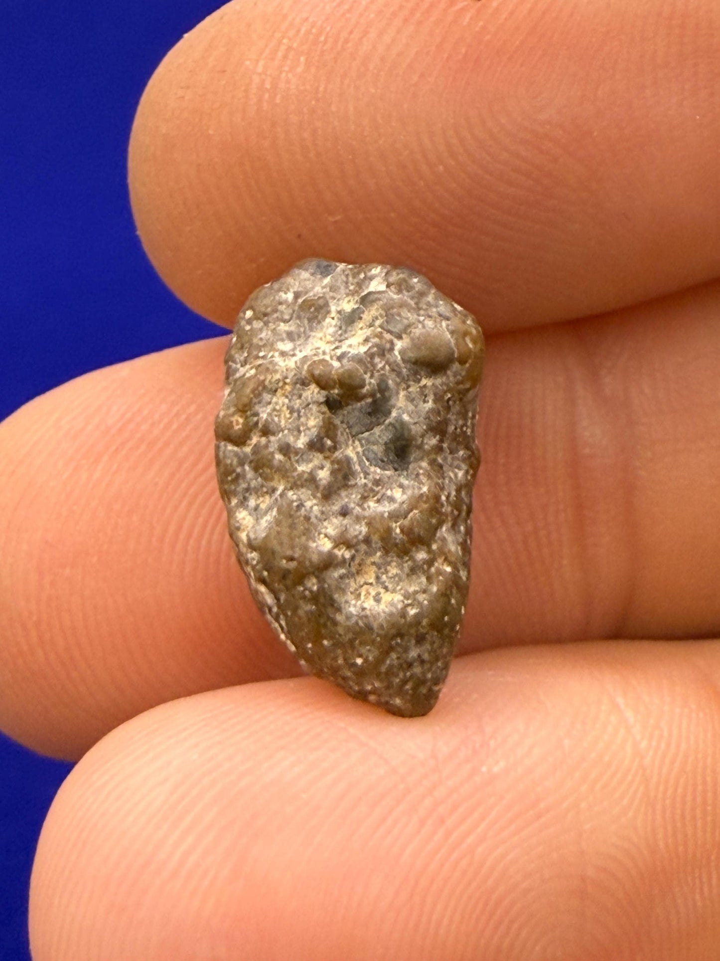 Moon|Lunar Meteorite Pendant, NWA 13974, Feldspathic Breccia, Moon Meteorite, Meteorite Collection, Lunar Feldspathic Breccia, 1.77 grams