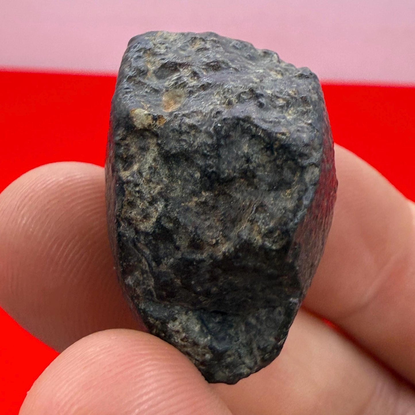 Meteorite NWA 869 Chondrite Stony Meteorite, 20.47 grams, Authentic Meteorite, Meteorite Collection, COA, Astronomy Gift, Space Gift