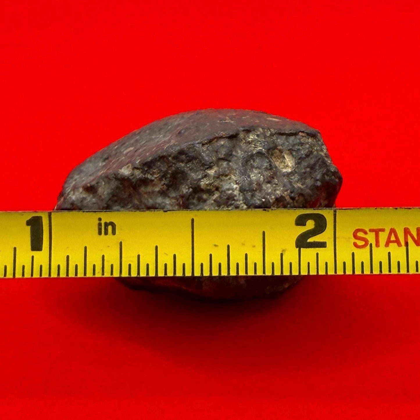 Meteorite NWA 869 Chondrite Stony Meteorite, 20.47 grams, Authentic Meteorite, Meteorite Collection, COA, Astronomy Gift, Space Gift