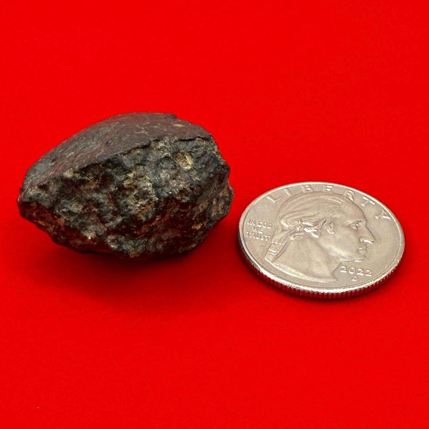 Meteorite NWA 869 Chondrite Stony Meteorite, 20.47 grams, Authentic Meteorite, Meteorite Collection, COA, Astronomy Gift, Space Gift