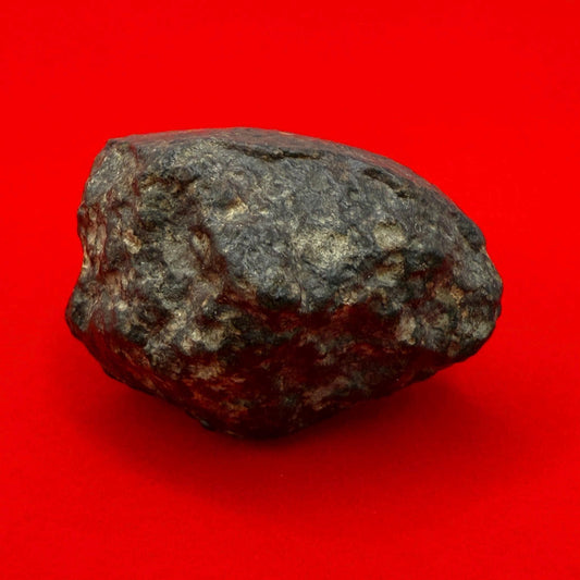 Meteorite NWA 869 Chondrite Stony Meteorite, 20.47 grams, Authentic Meteorite, Meteorite Collection, COA, Astronomy Gift, Space Gift