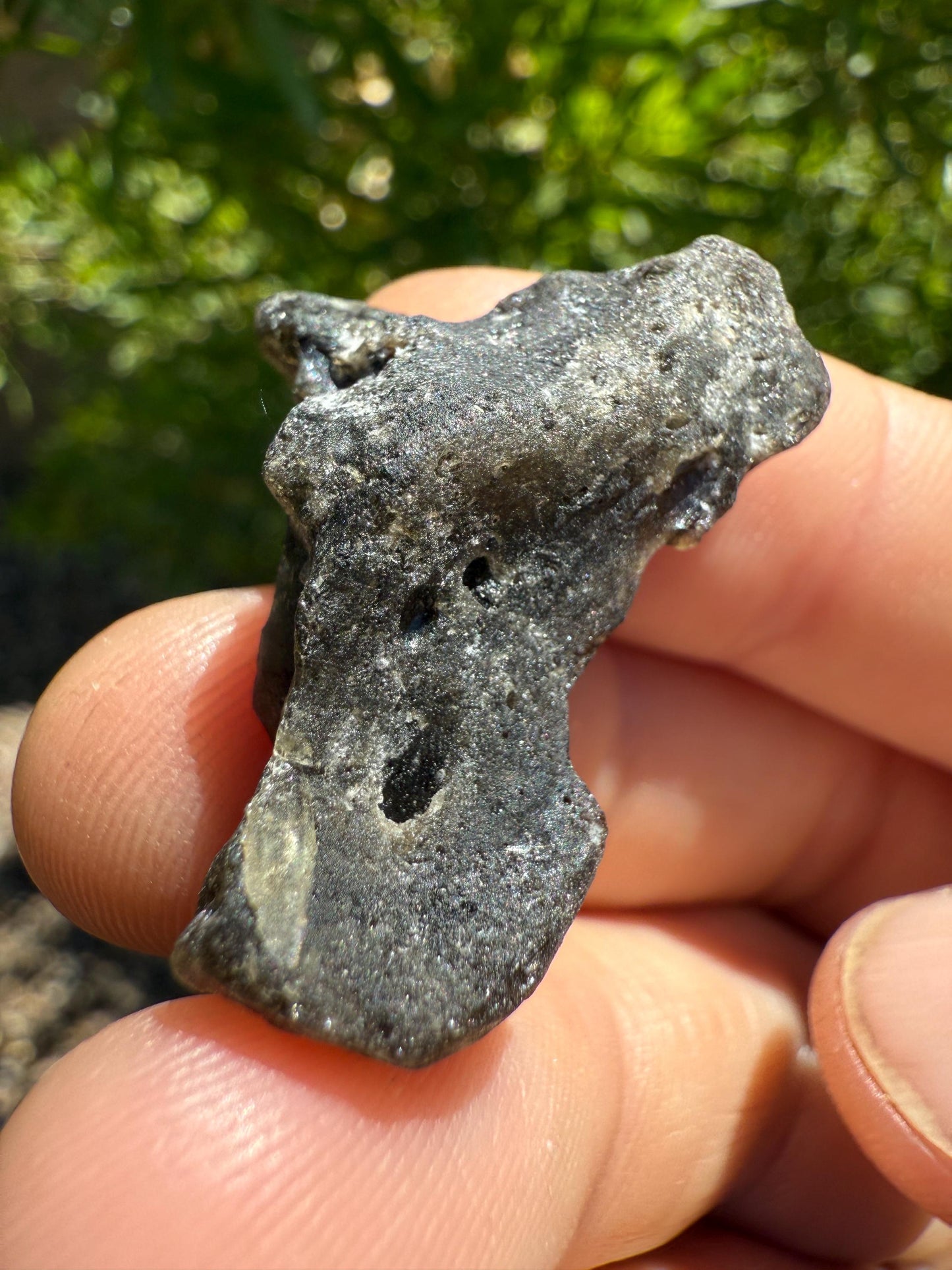 Darwin Glass, Darwinite, Tektite, Grounding, Manifestation Talisman, Impactite from Tasmania, Astronomy Gift, Tektite Collection, 6.11 grams