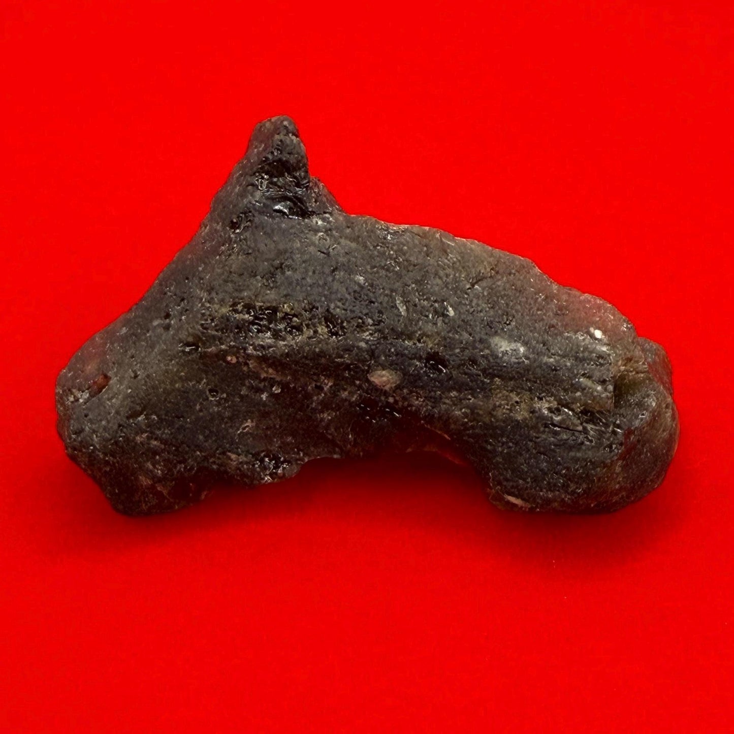 Darwin Glass, Darwinite, Tektite, Grounding, Manifestation Talisman, Impactite from Tasmania, Astronomy Gift, Tektite Collection, 6.11 grams