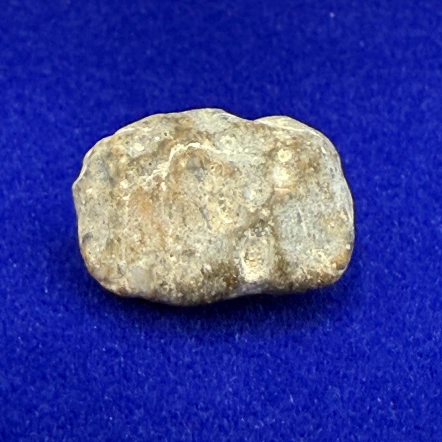 Moon|Lunar Meteorite Pendant, NWA 13974, Feldspathic Breccia, Moon Meteorite, Meteorite Collection, Lunar Feldspathic Breccia, 0.93 grams
