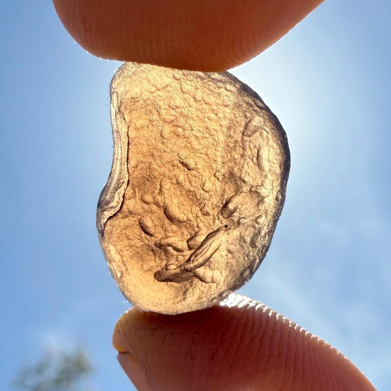 Saffordite Cintamani Specimen: Rare Arizona Tektite, Reiki Energy, 2.92g